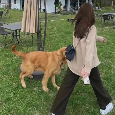 钱塘传奇